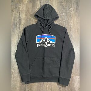PATAGONIA Mens Sweatshirt Hoodie